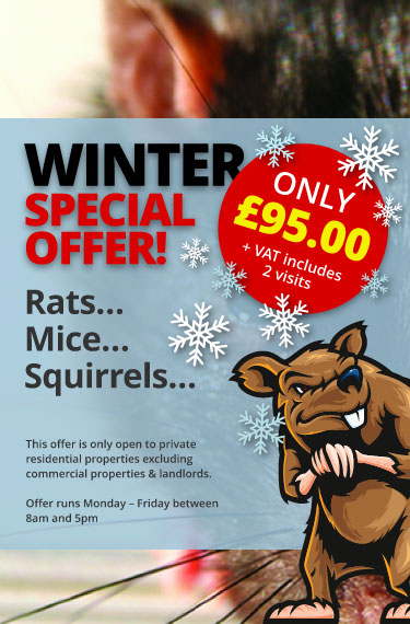 Winter Special Offer
