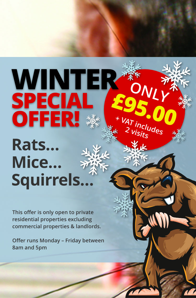 Winter Special Offer