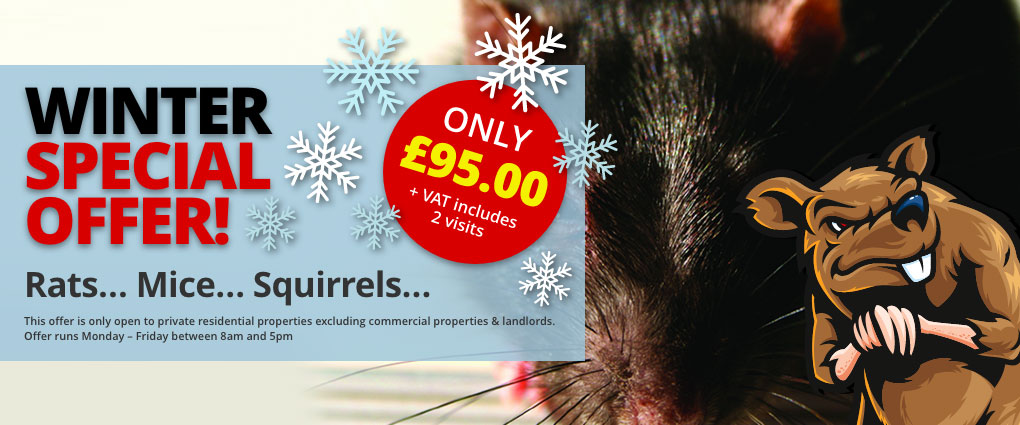 Winter Special Offer