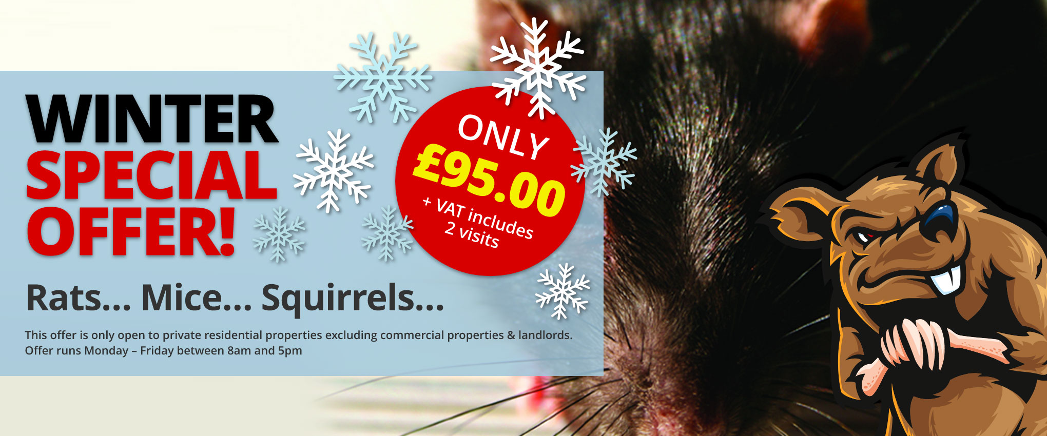Winter Special Offer