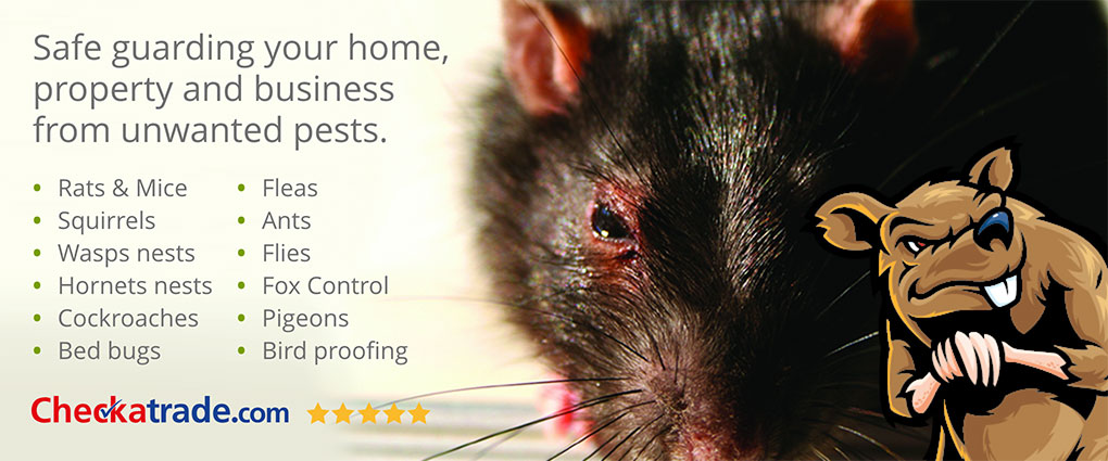 Power Pest Control