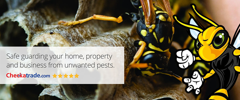 Power Pest Control