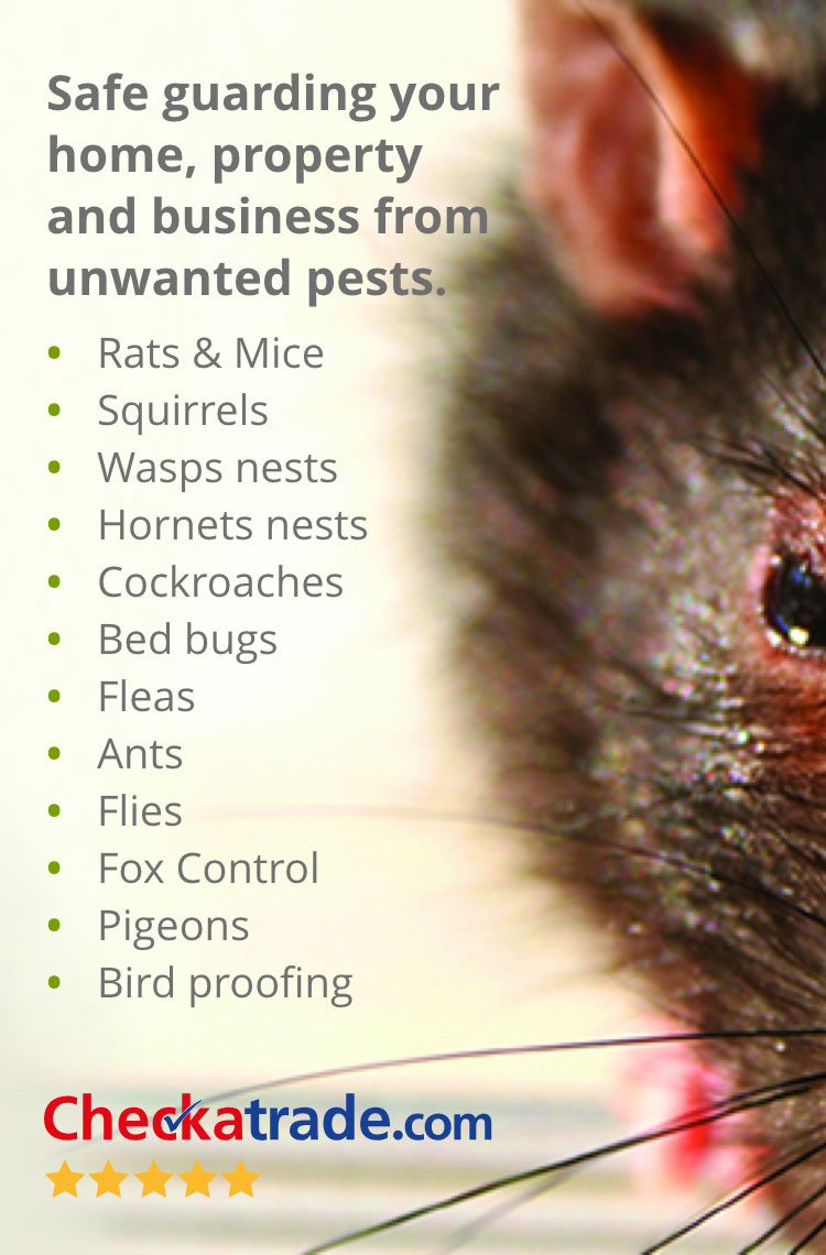 Power Pest Control