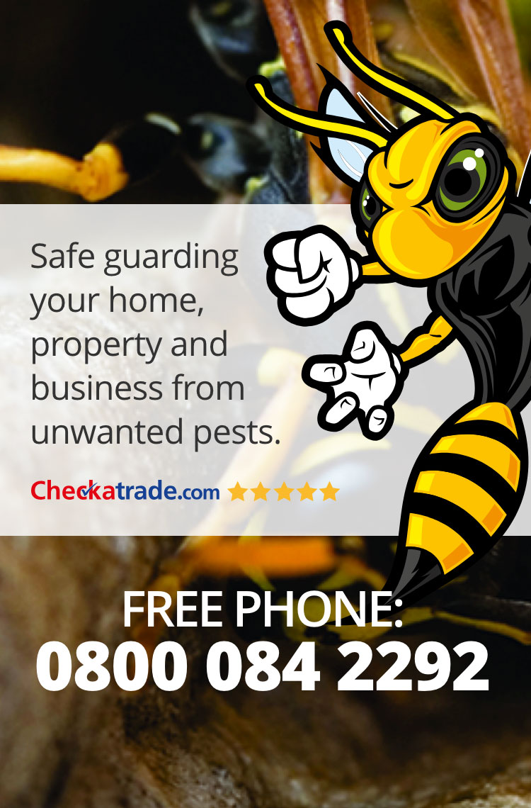 Power Pest Control
