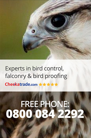 Power Pest Control