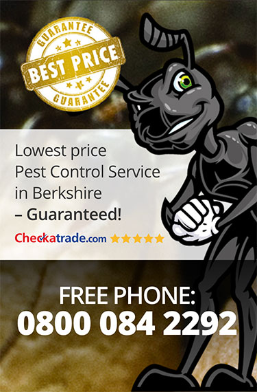 Power Pest Control Berkshire