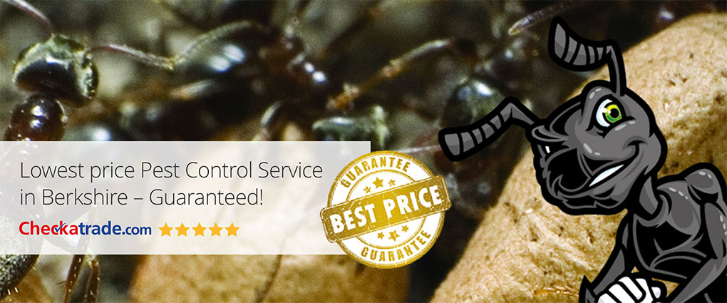 Power Pest Control Berkshire